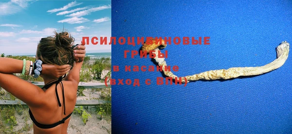 молекула духа Пестово